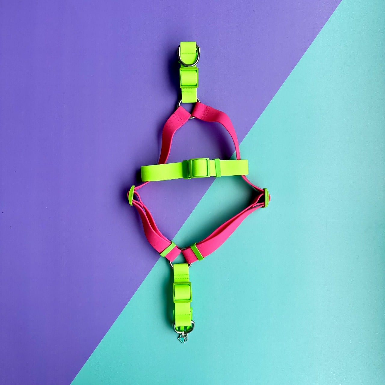 Arnés para perros en goma impermeable fucsia y verde neón con correa