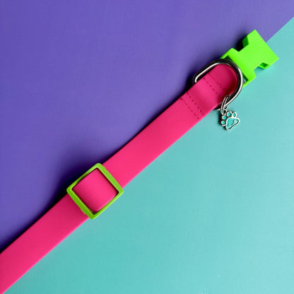 Collar para perros en goma impermeable fucsia y verde neón con rosas 2