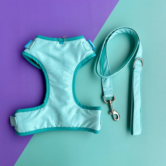 Pechera para perros con correa aguamarina