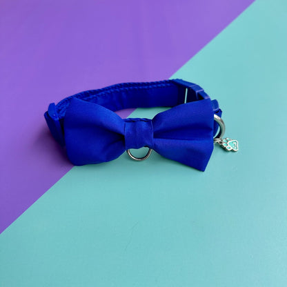 Corbatín para perros azul rey