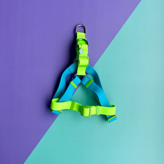 Arnés para perros en goma impermeable azul y verde neón sin correa