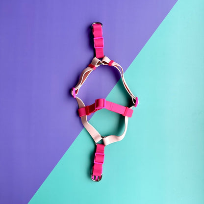 Arnés para perros en goma impermeable rosado y fucsia con correa