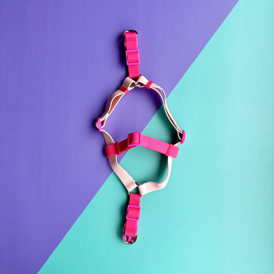 Arnés para perros en goma impermeable rosado y fucsia con correa