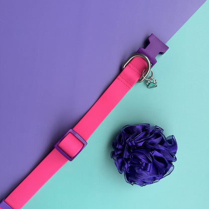 Collar para perros en goma impermeable fucsia y morado con flor tul morada