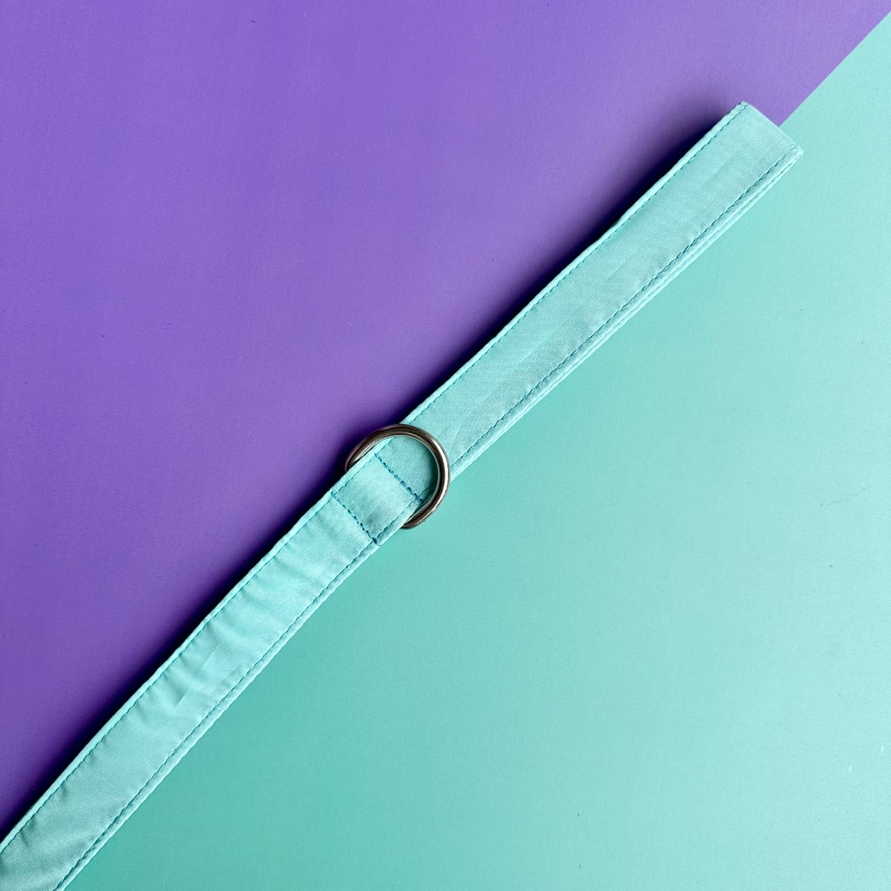 Pechera para perros con correa aguamarina