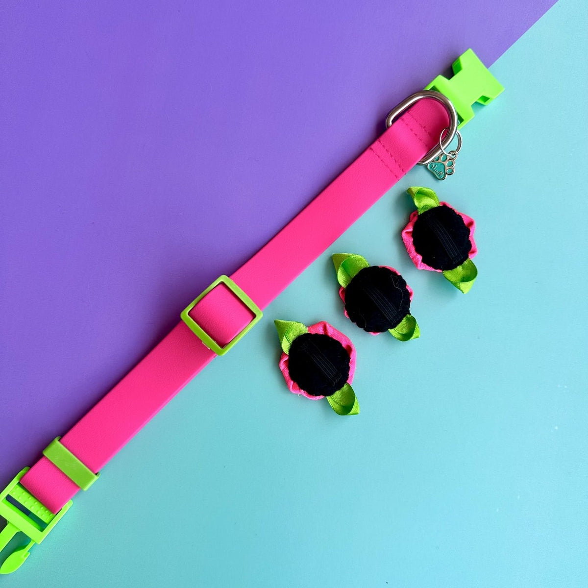 Collar para perros en goma impermeable fucsia y verde neón con rosas