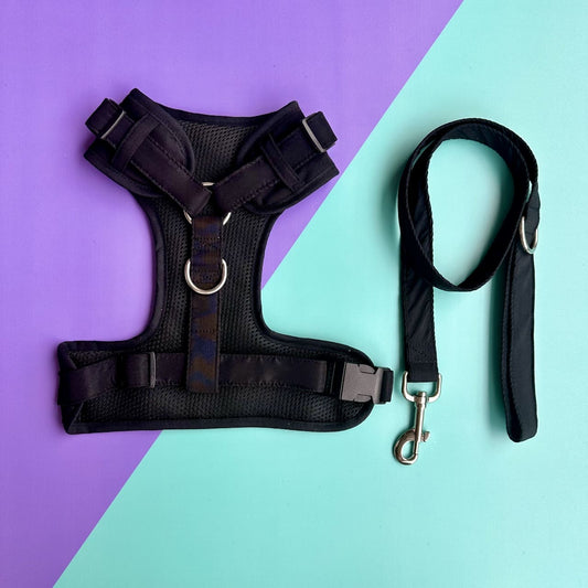 Pechera para perros con correa negra