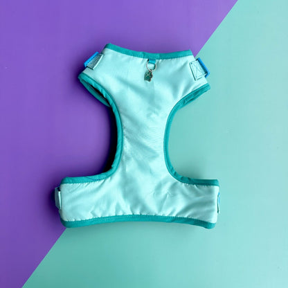 Pechera para perros sin correa aguamarina