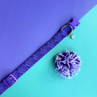 Collar para perros con flor tul lila- Cebra lila (Copia)