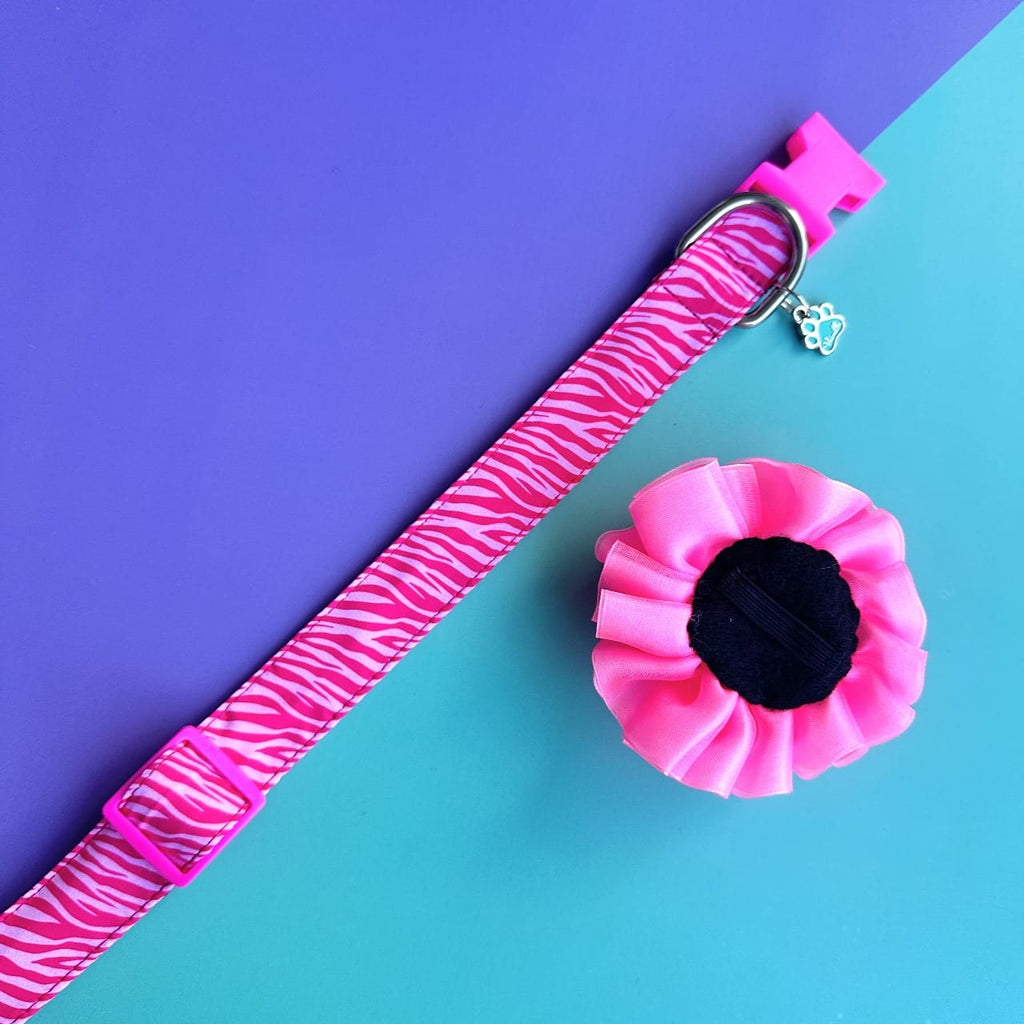 Collar para perros con flor tul rosado neón - Cebra rosado