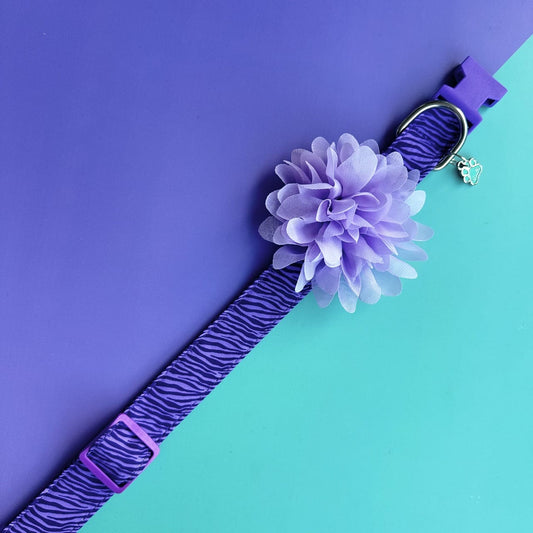 Collar para perros con flor seda - Cebra lila