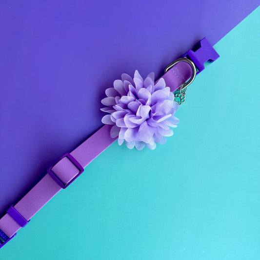 Collar para perros en goma lila con flor seda