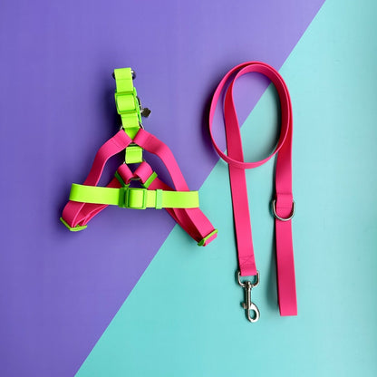 Arnés para perros en goma impermeable fucsia y verde neón con correa