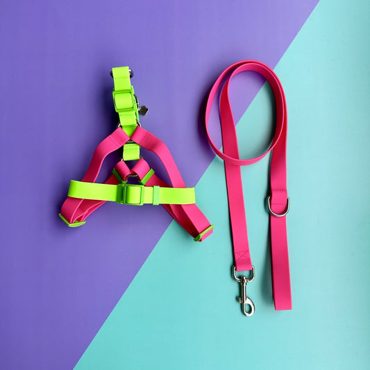 Arnés para perros en goma impermeable fucsia y verde neón con correa