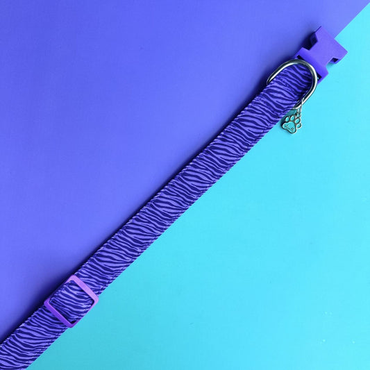 Collar para perros Cebra lila