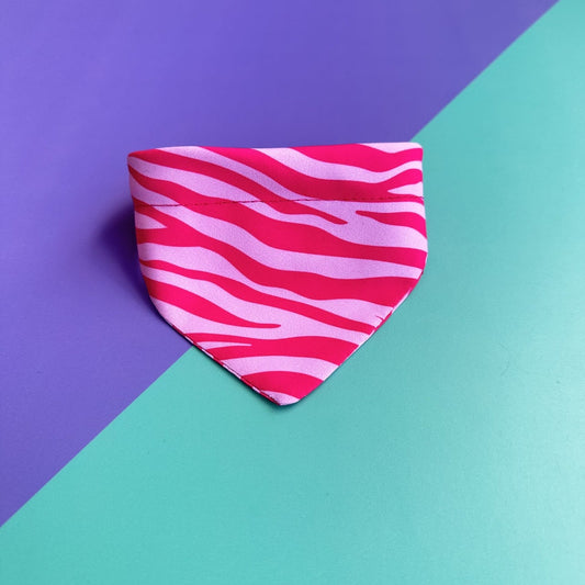 Pañoleta para gatos Cebra fucsia