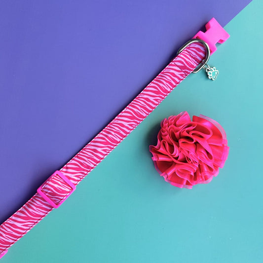 Collar para perros con flor tul fucsia neón - Cebra rosado