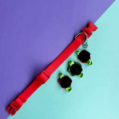 Collar para perros en goma impermeable rojo con rosas de Navidad