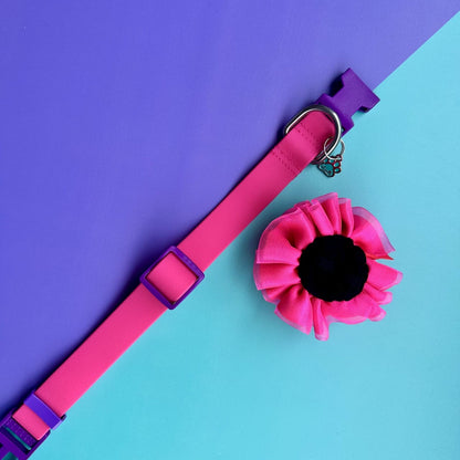 Collar para perros en goma impermeable fucsia y morado con flor tul fucsia neón