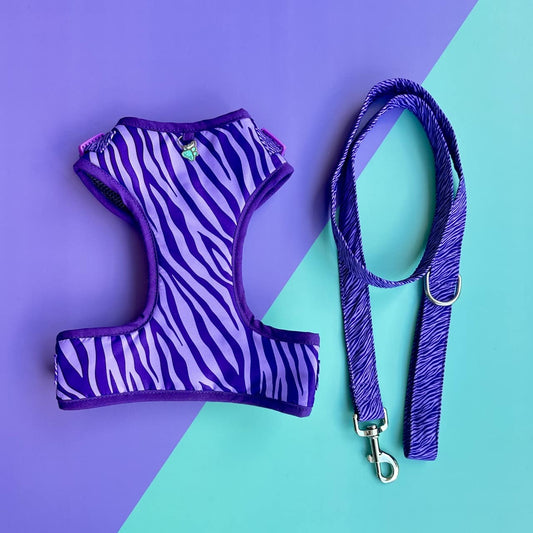 Pechera para perros con correa Cebra lila