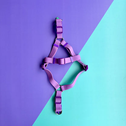 Arnés para perros en goma impermeable lila con correa