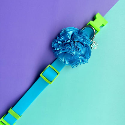 Collar para perros en goma impermeable turquesa y verde neón con flor tul