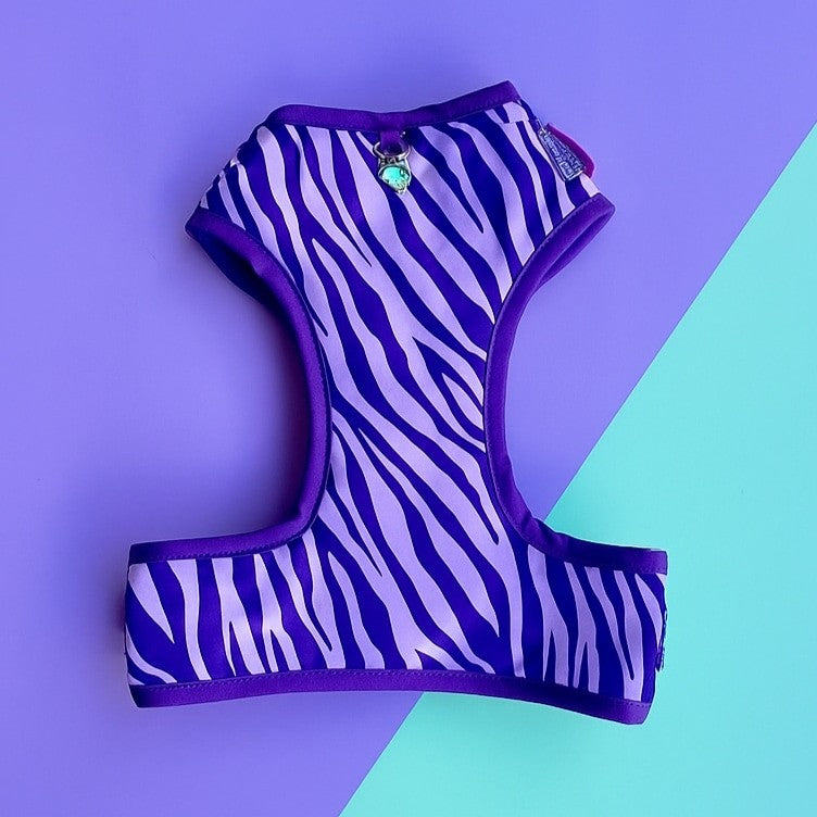 Pechera para perros sin correa Cebra lila