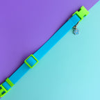 Collar para perros en goma impermeable turquesa y verde neón con flor tul