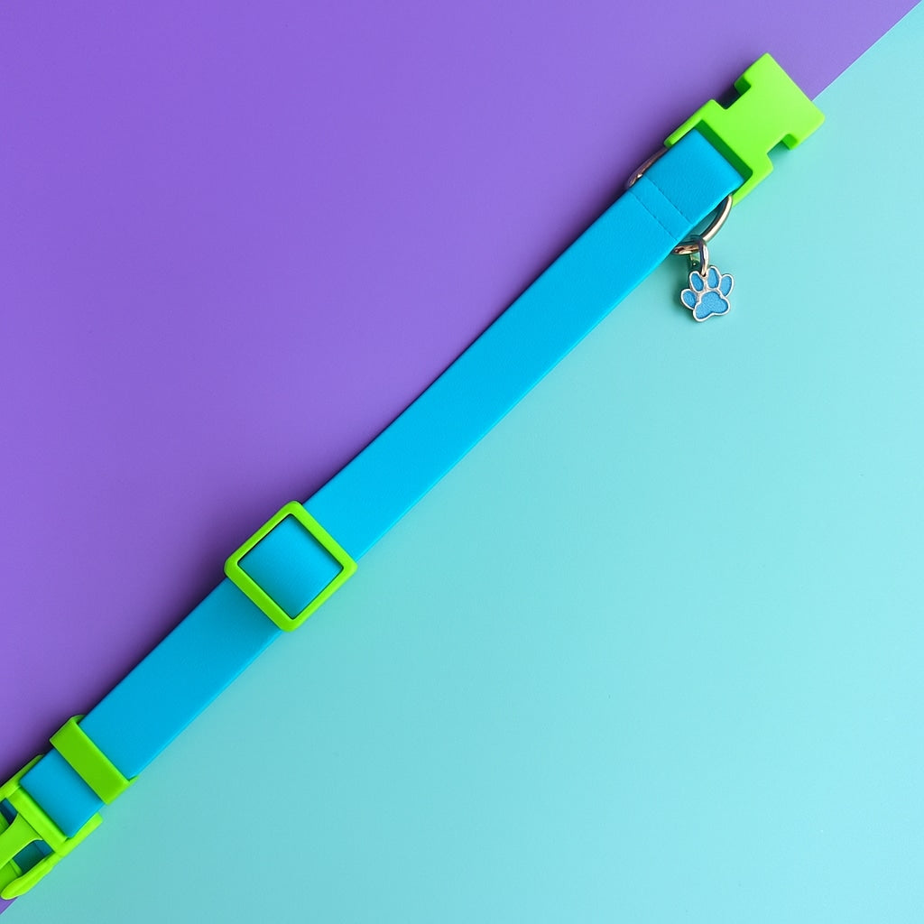 Collar para perros en goma impermeable turquesa y verde neón con flor tul