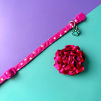 Collar para gatos con flor bicolor fucsia y morado - Estrellas