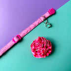 Collar para gatos con flor bicolor fucsia neón y rosado neón - Jirafa