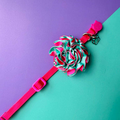 Collar para gatos con flor bicolor aguamarina y fucsia neón