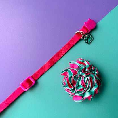 Collar para gatos con flor bicolor aguamarina y fucsia neón
