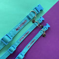 collar-para-perro-personalizado