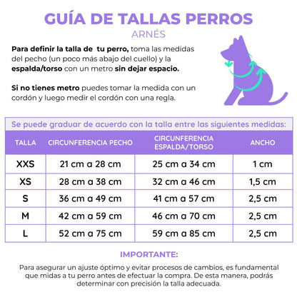 Arnés para perros en goma impermeable fucsia y lila sin correa