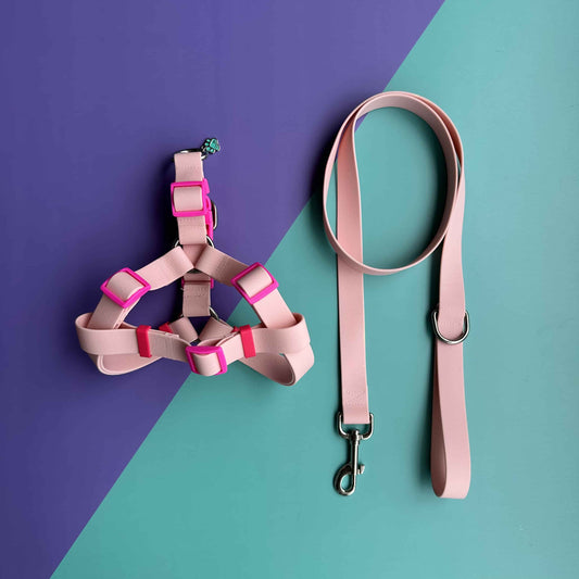 Arnés para perros en goma impermeable rosado con correa