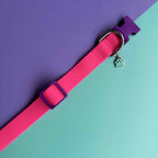 Collar para perros en goma impermeable fucsia y morado con flor tul fucsia neón