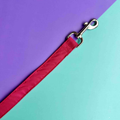 Pechera para perros con correa fucsia