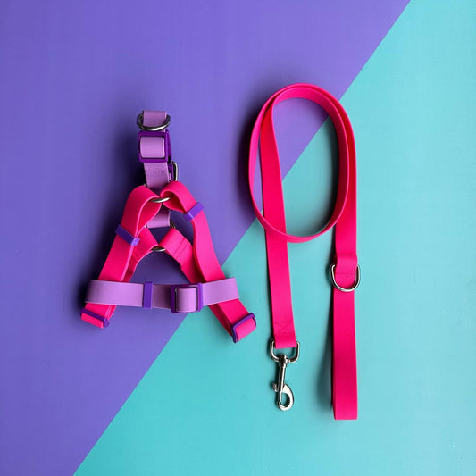 Arnés para perros en goma impermeable fucsia y lila con correa