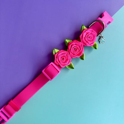 Collar para perros en goma impermeable con rosas fucsia