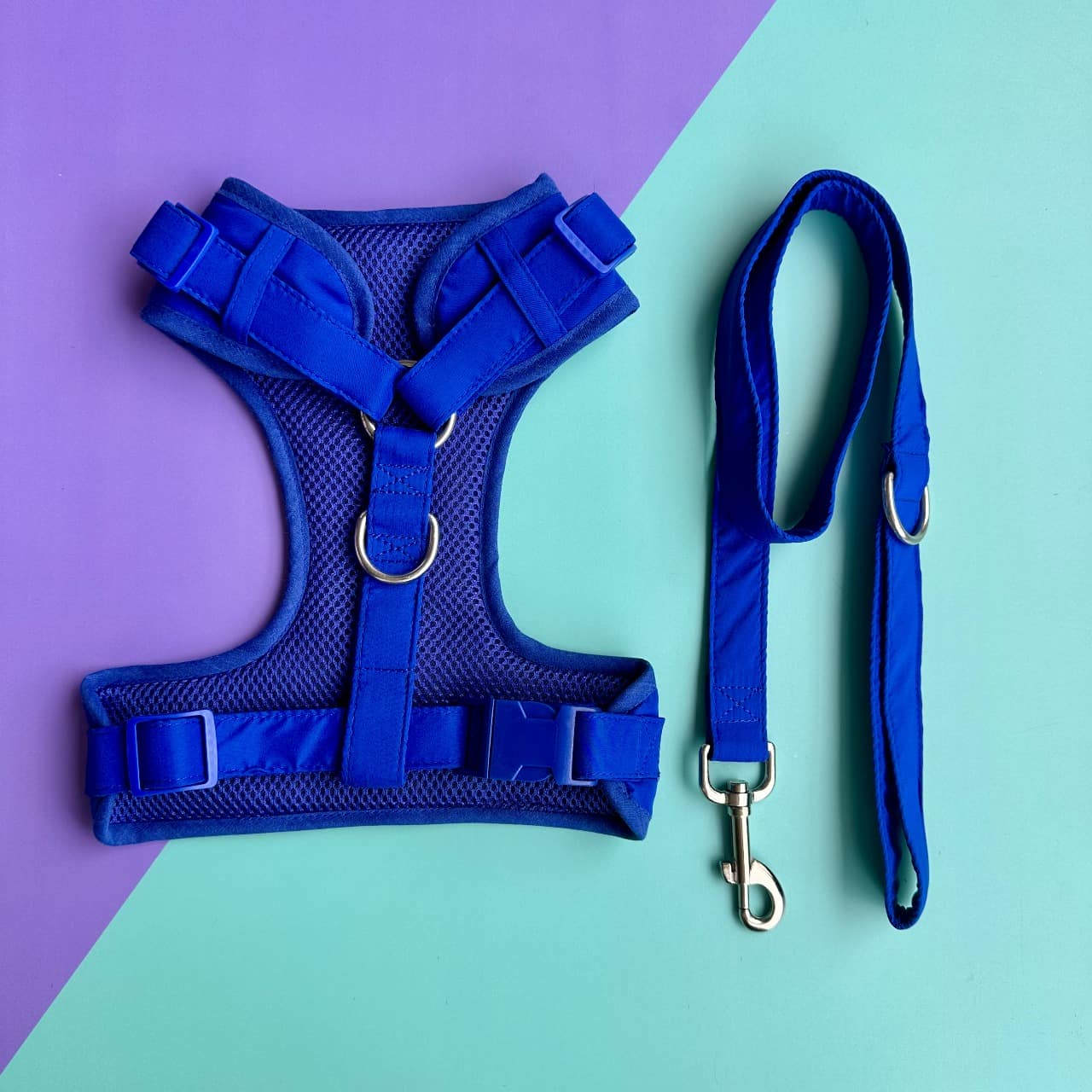 Pechera para perros con correa azul rey