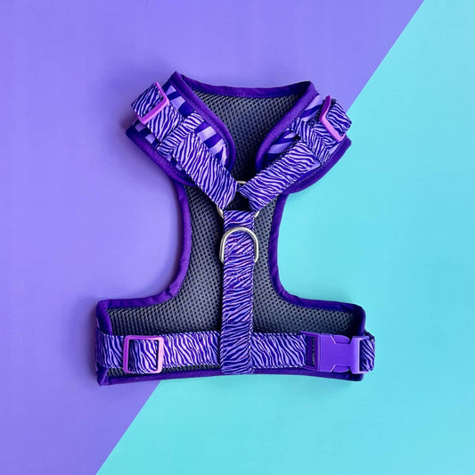 Pechera para perros sin correa Cebra lila