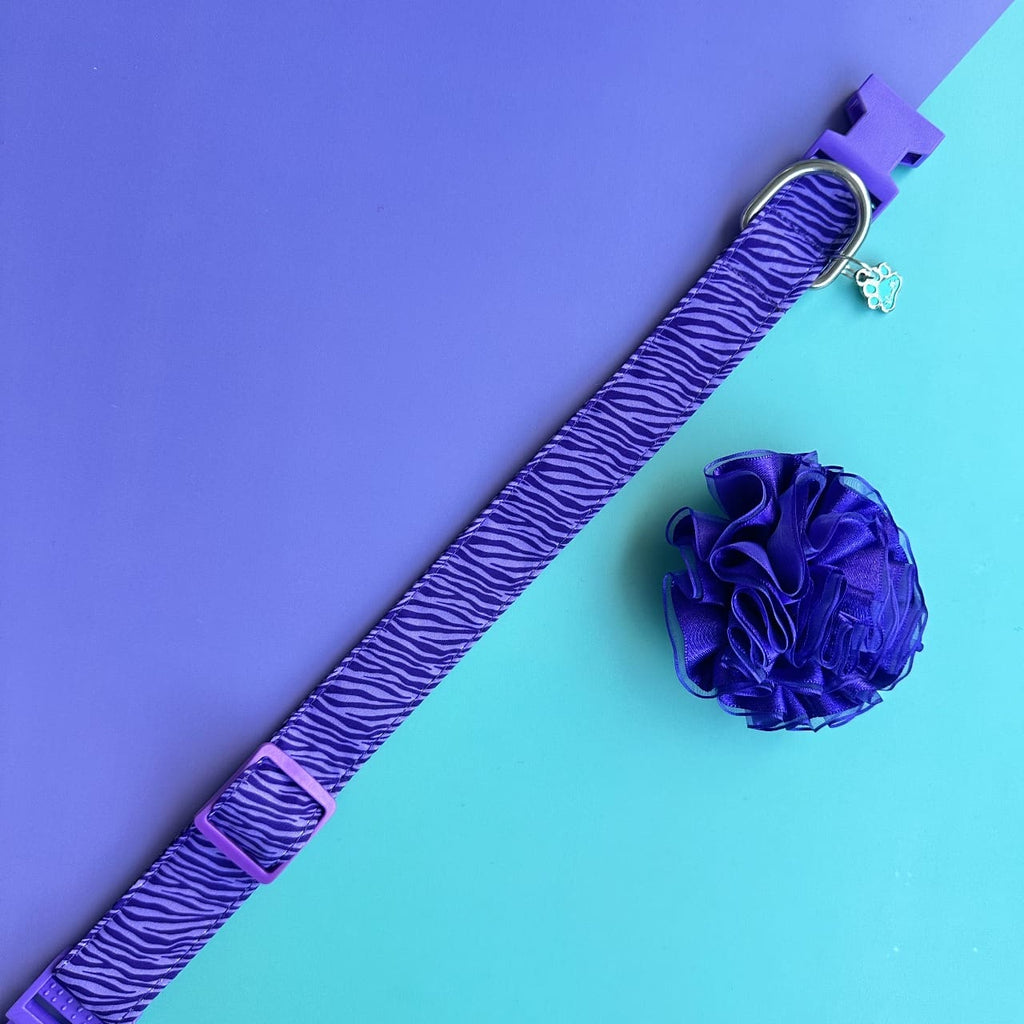 Collar para perros con flor tul morada - Cebra lila