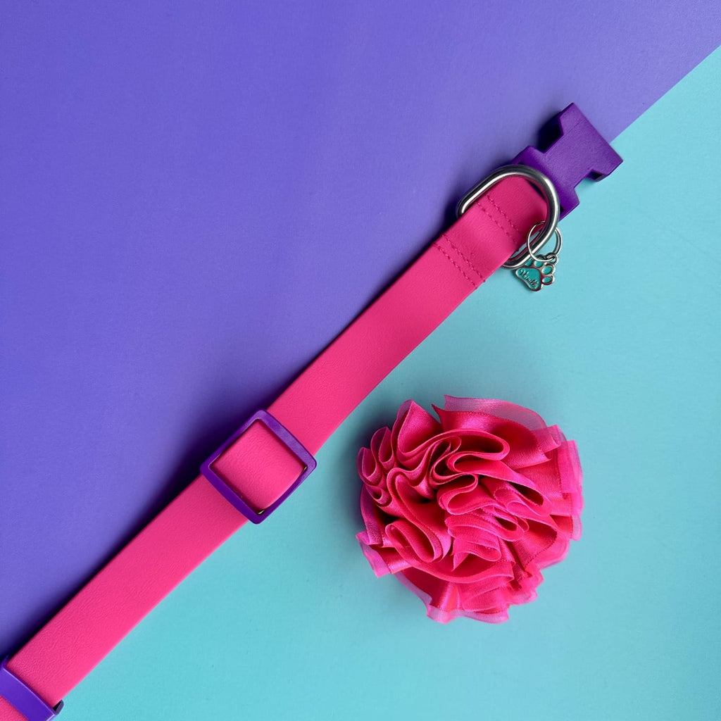 Collar para perros en goma impermeable fucsia y morado con flor tul fucsia neón