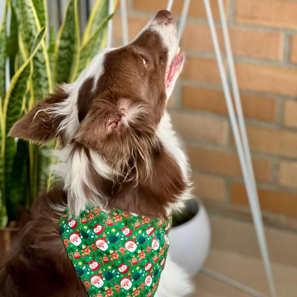 Pañoleta para perros de Navidad magia navideña