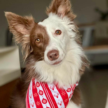 Pañoleta para perros de Navidad clásica