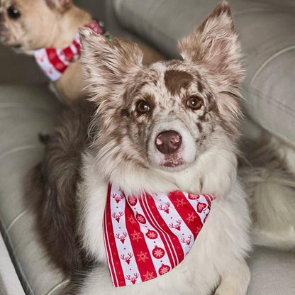 Pañoleta para perros de Navidad clásica