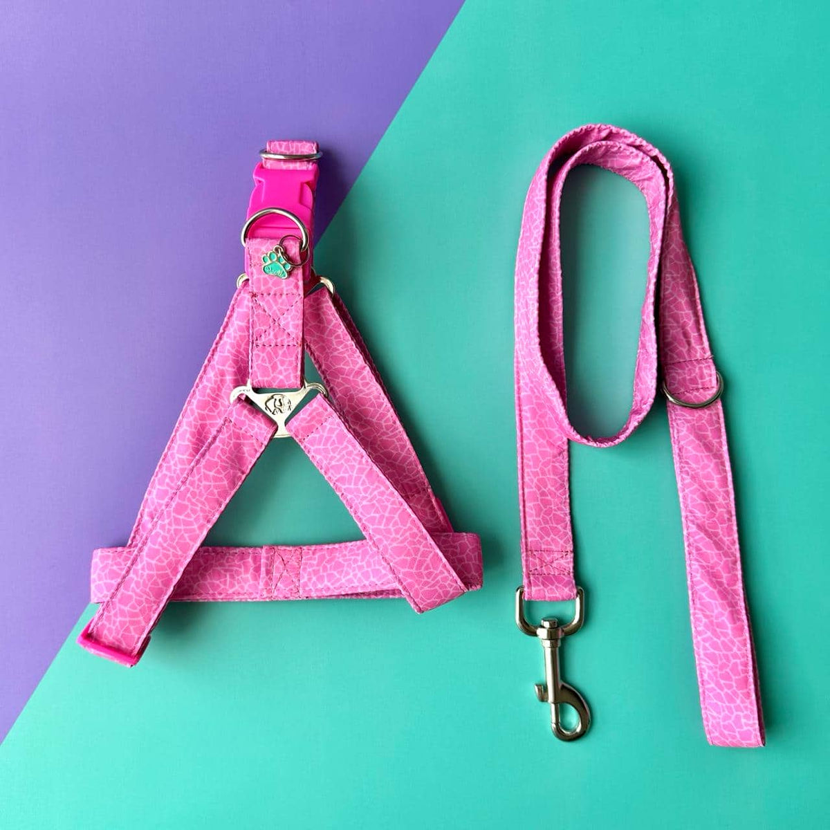 Arnés para perros step in con correa Jirafa