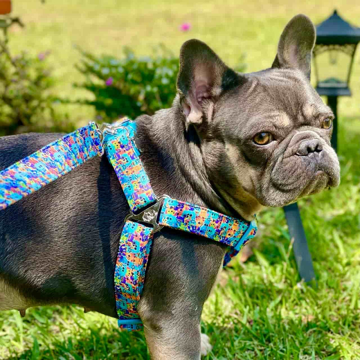 Arnés para perros step in con correa Monstruos