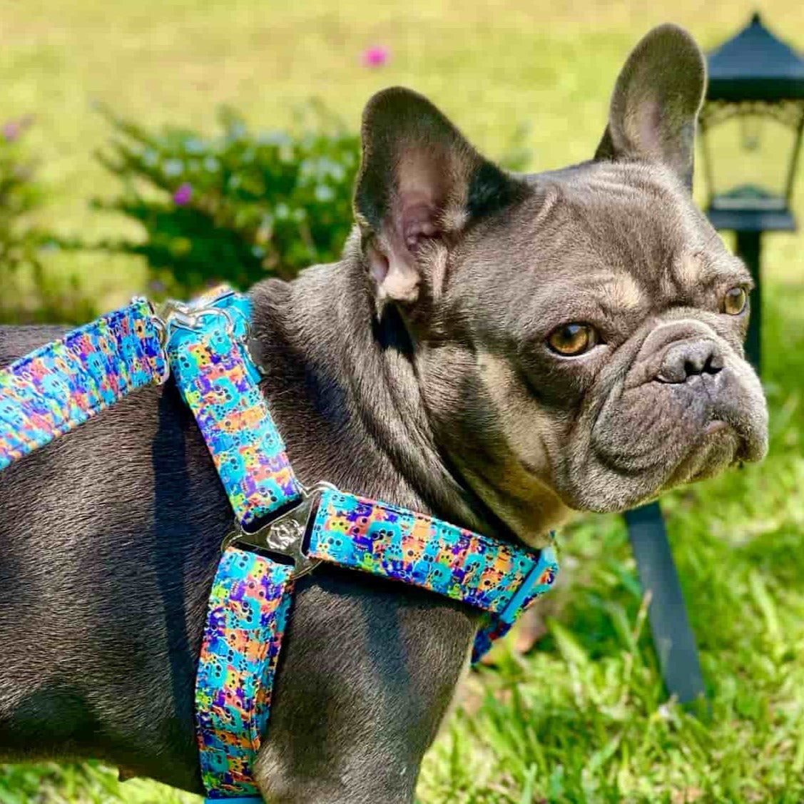 Arnés para perros step in sin correa Monstruos